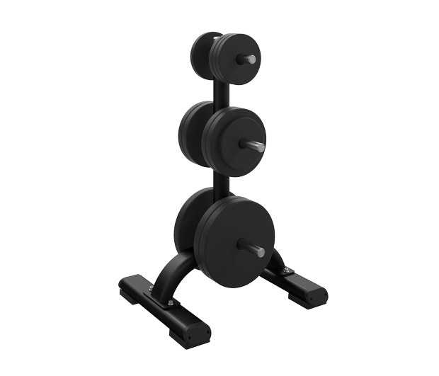 DBR0817 – Precor Rack Para Discos De Peso