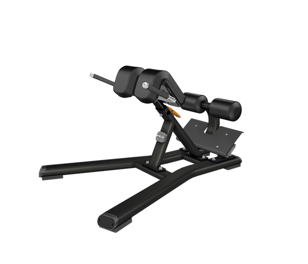 DBR0312 – Precor Extensión Lumbar